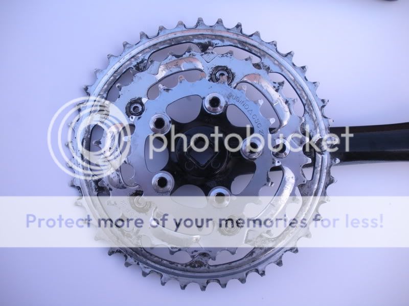 DSCN1533.jpg