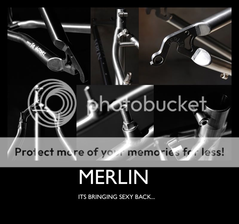 merlin_collage_sexy.jpg