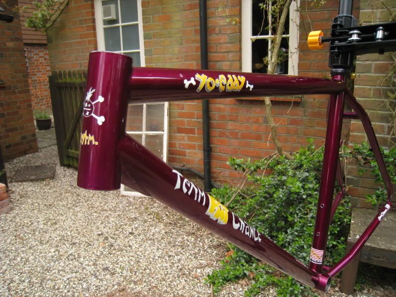 YoBuild-Polish005.jpg