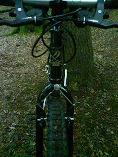 Diamondback004.JPG
