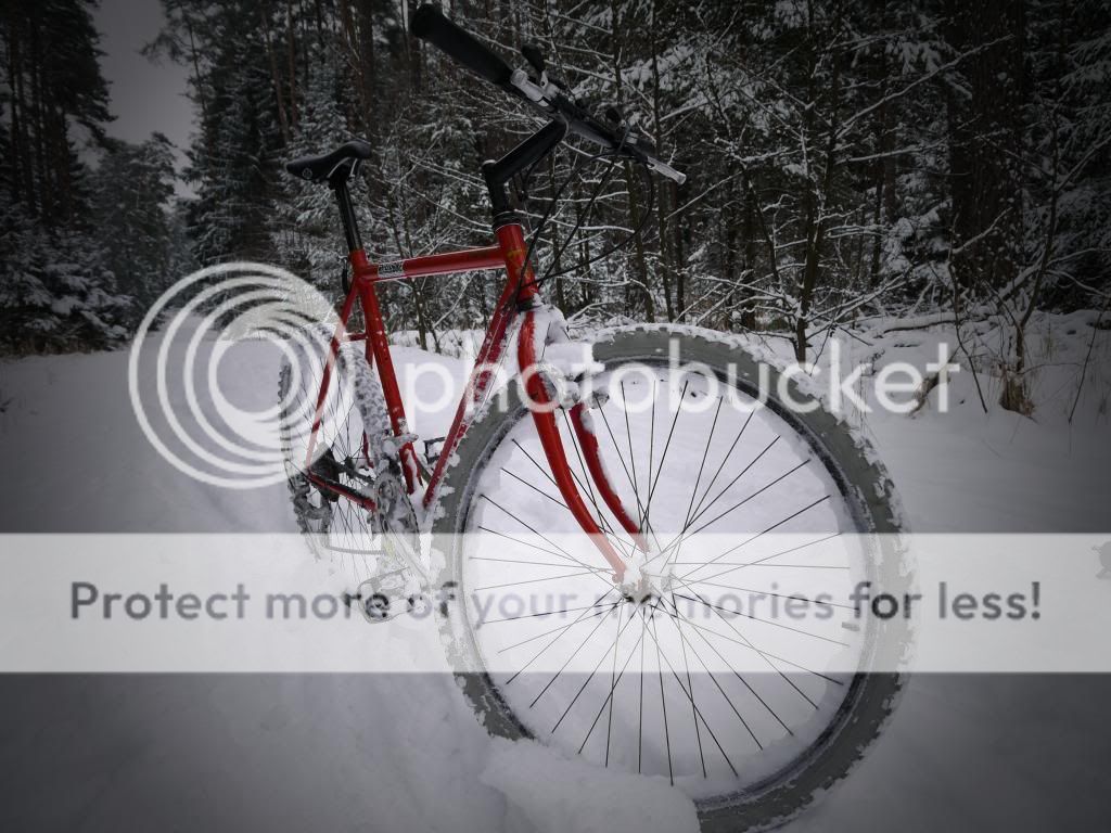 P1020119_zpse3ab4c33.jpg