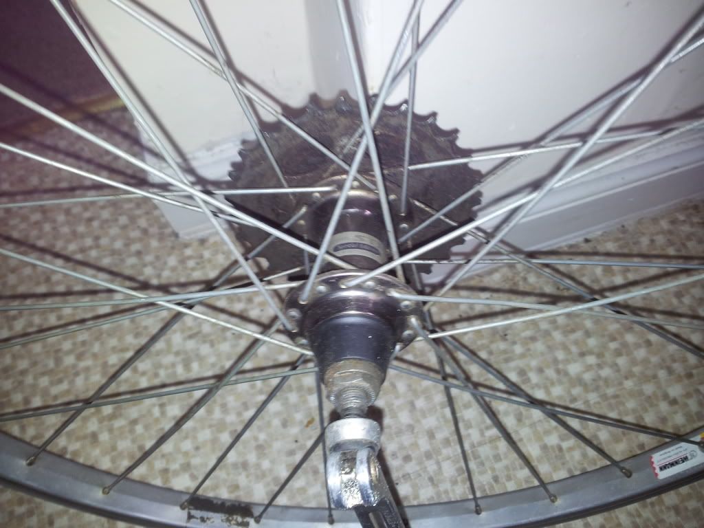 2012-07-16172315.jpg