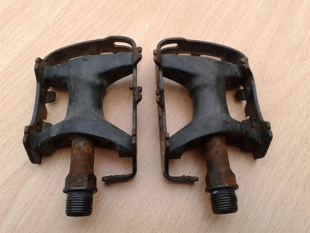 2013-02-22162001.jpg