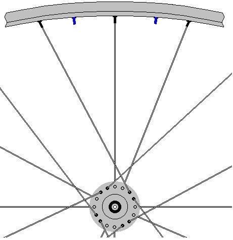 radial-3x.jpg
