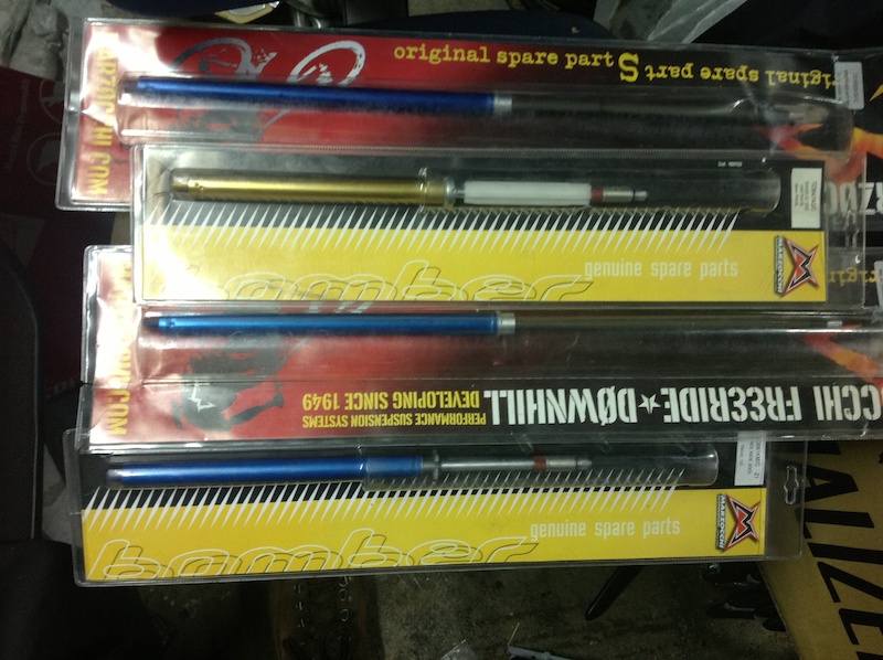p4pb10346910.jpg