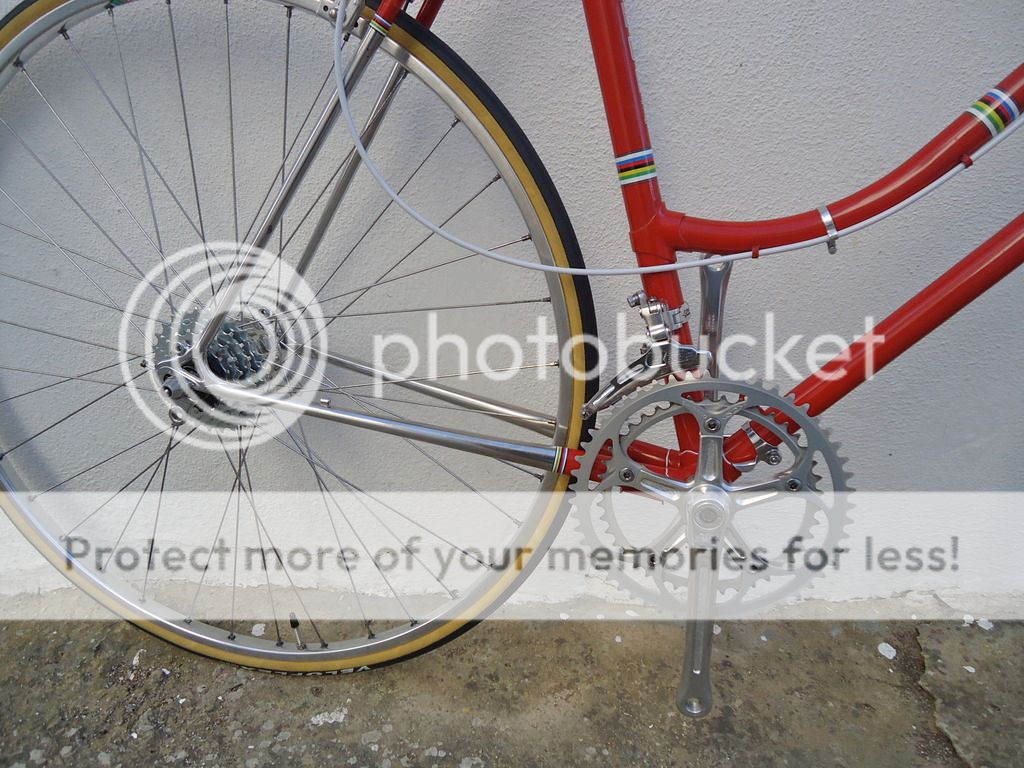 DSC04539.jpg