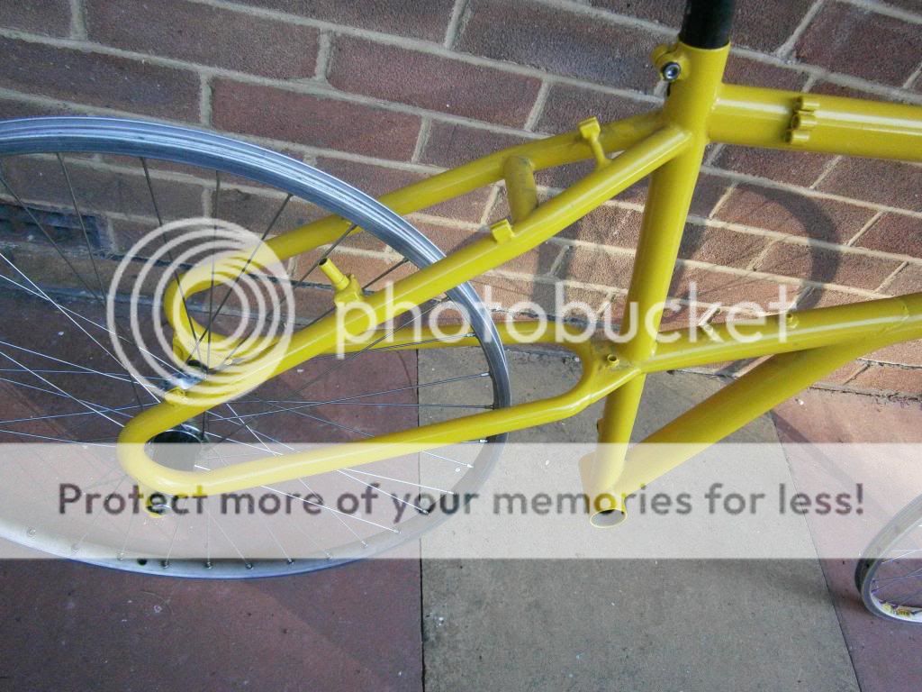 P5010103_zps0fff2df2.jpg