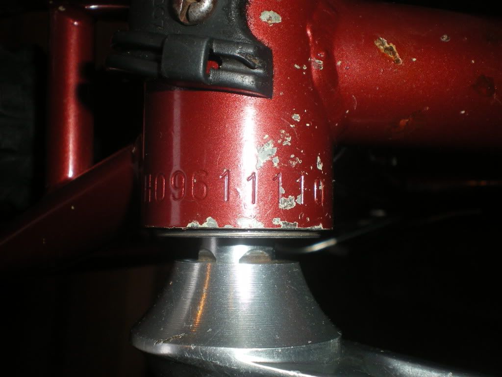 IMGP2952.jpg