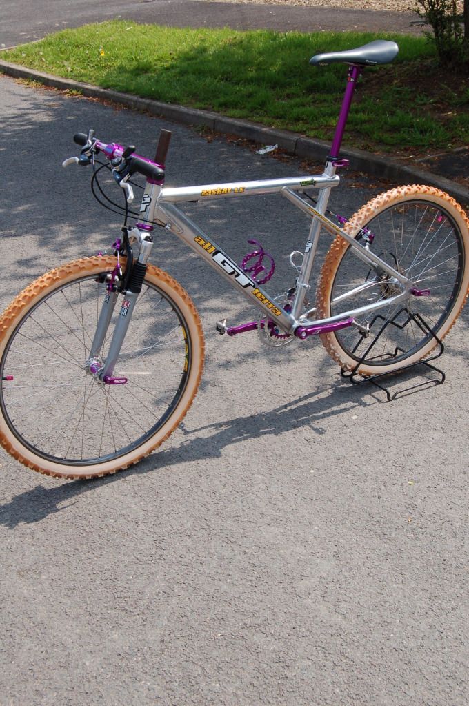 Zaskar_purp005.jpg
