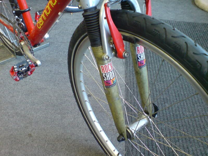 DSC01241-1.jpg