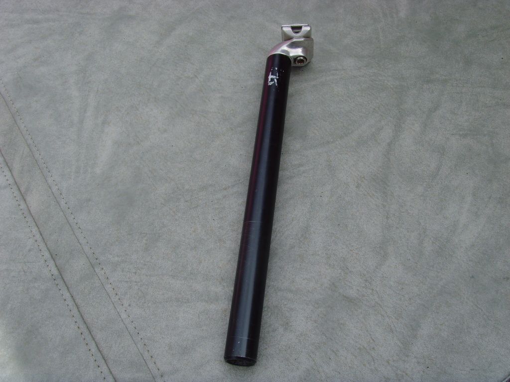 SNV36710.jpg