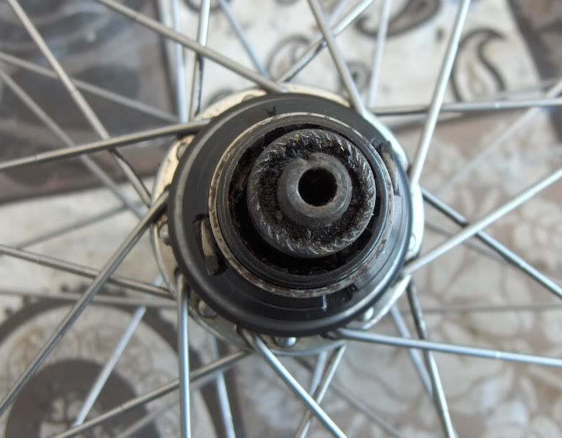 Freewheel03.jpg