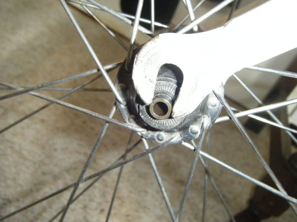 dscf2881.jpg