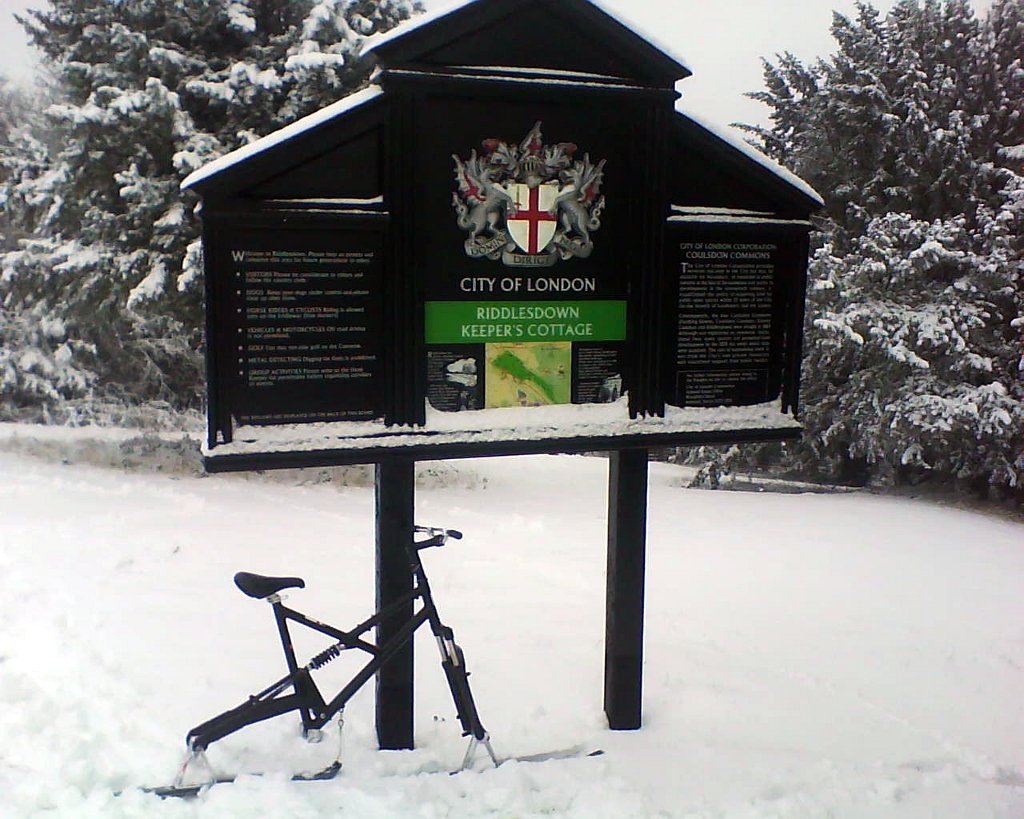 riddlesdown02.jpg