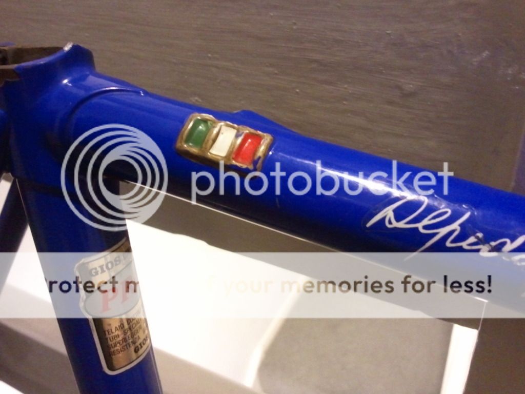 2012-11-29075255.jpg