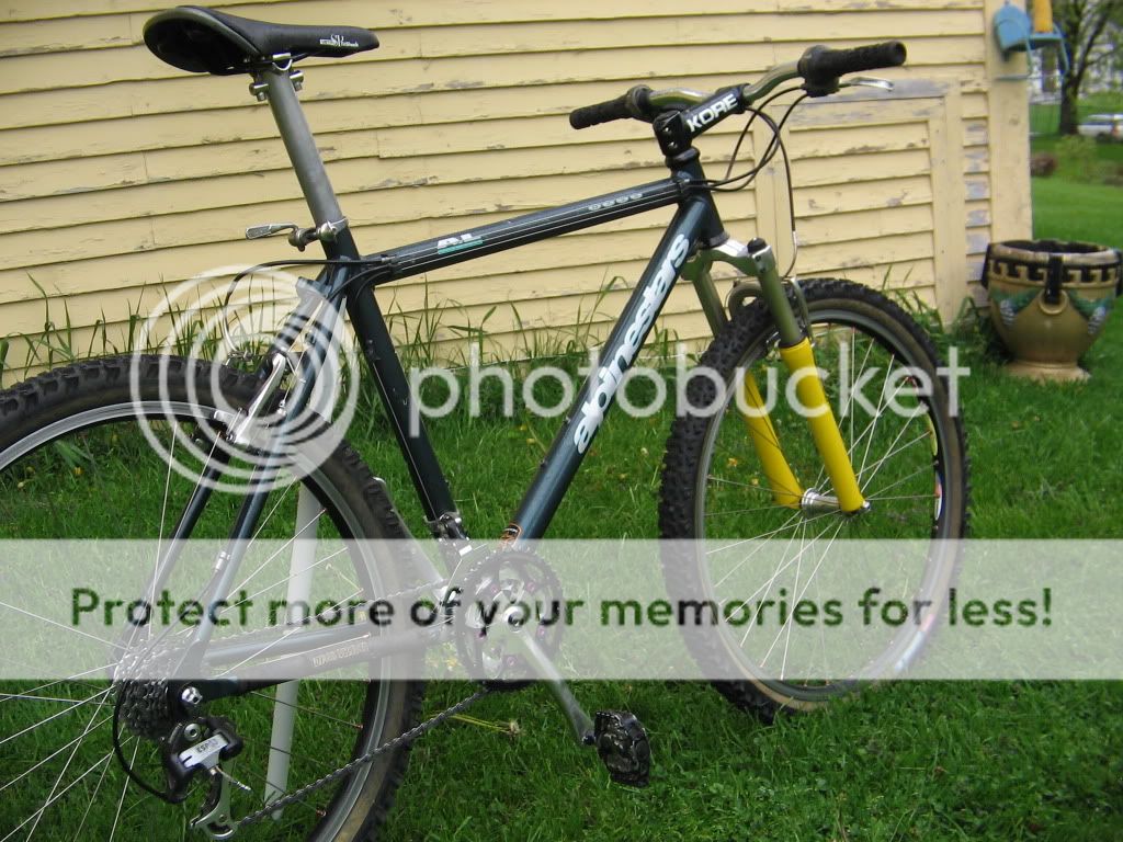 IMG_9378.jpg