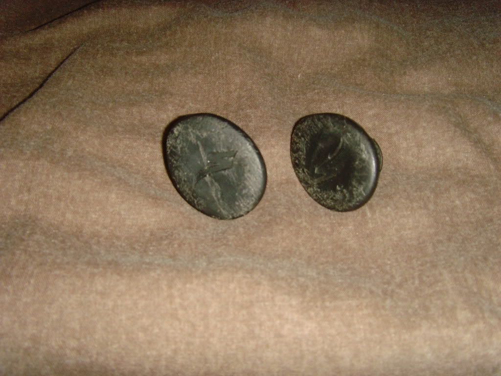SNV34124.jpg