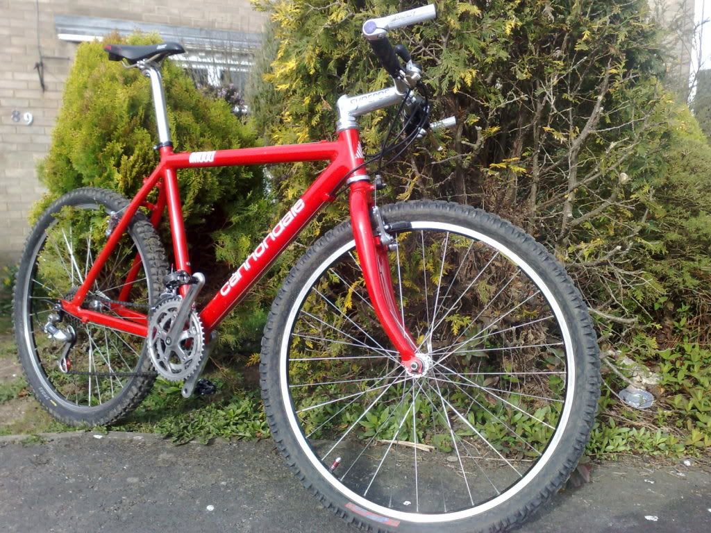 Cannondale1.jpg