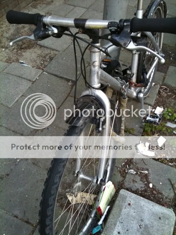 6foto.jpg