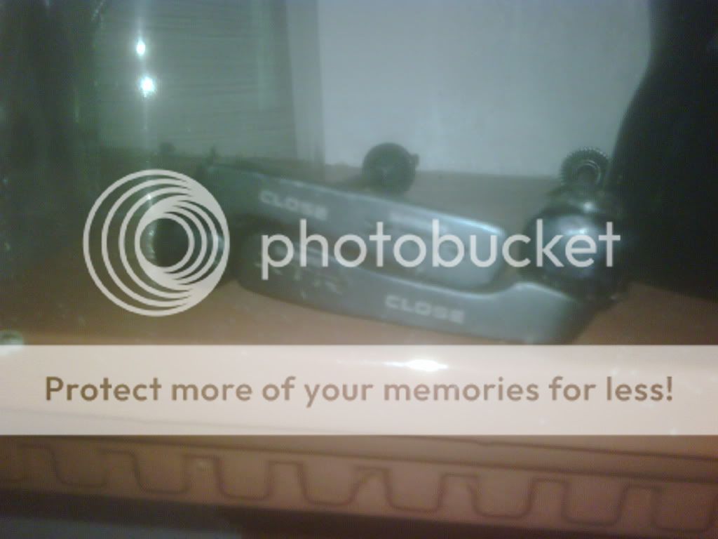IMG00005-20100518-0852.jpg