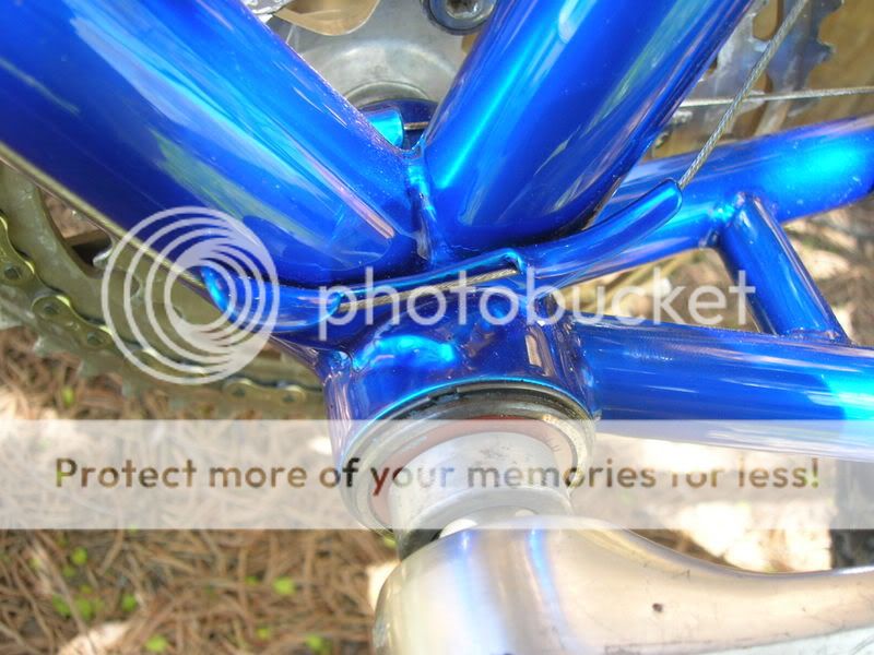 DSCN0753.jpg