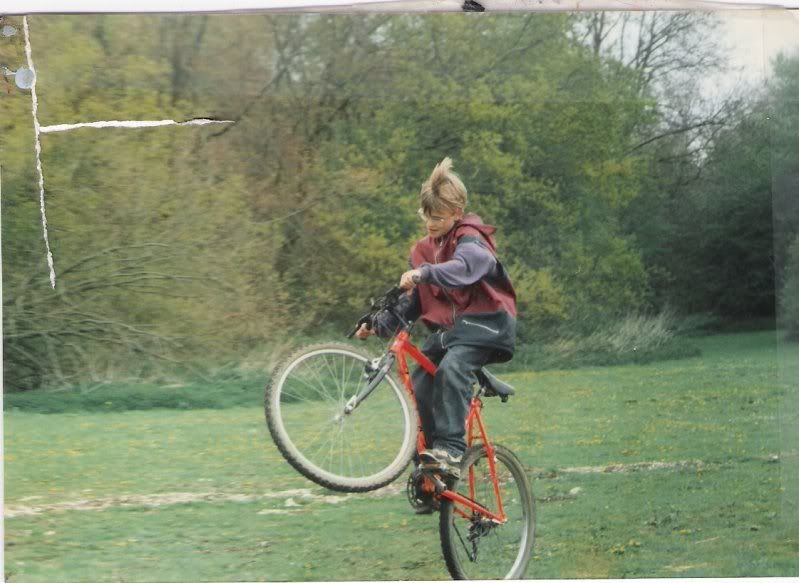 paperclips200322321.jpg