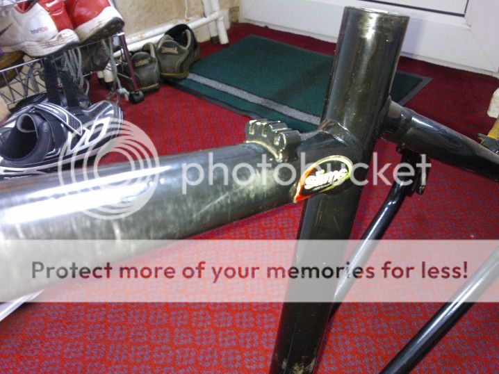 WP_000186.jpg