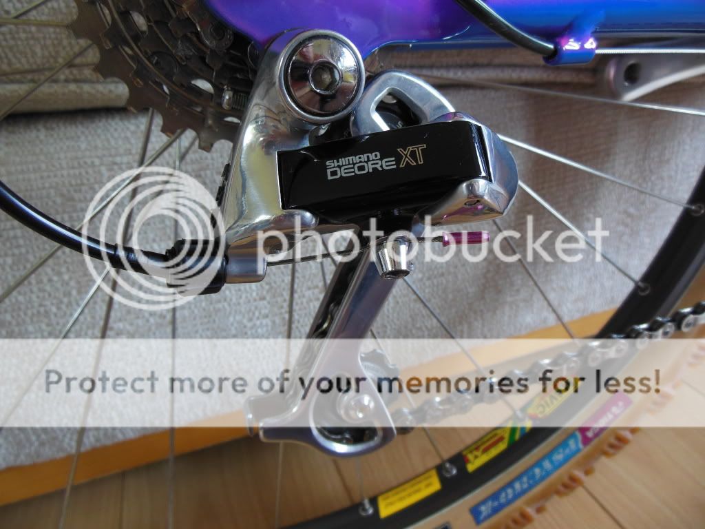 DSCN2586.jpg
