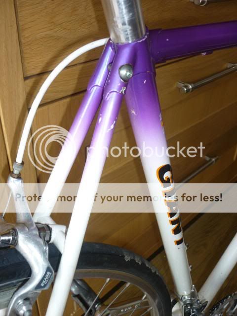 stems051.jpg