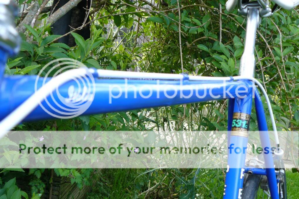 P1100407_zpsc6f1daeb.jpg