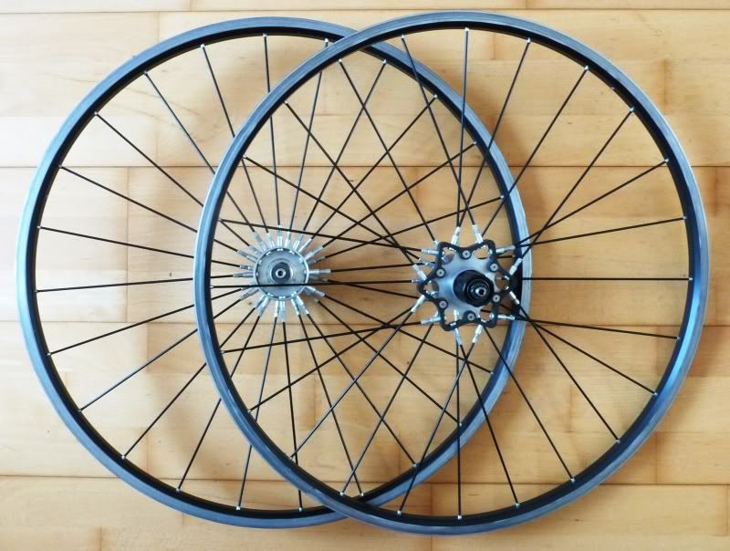M031SpinergySpox1.jpg