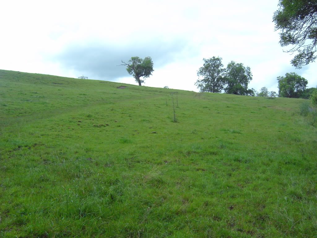IMG00413.jpg