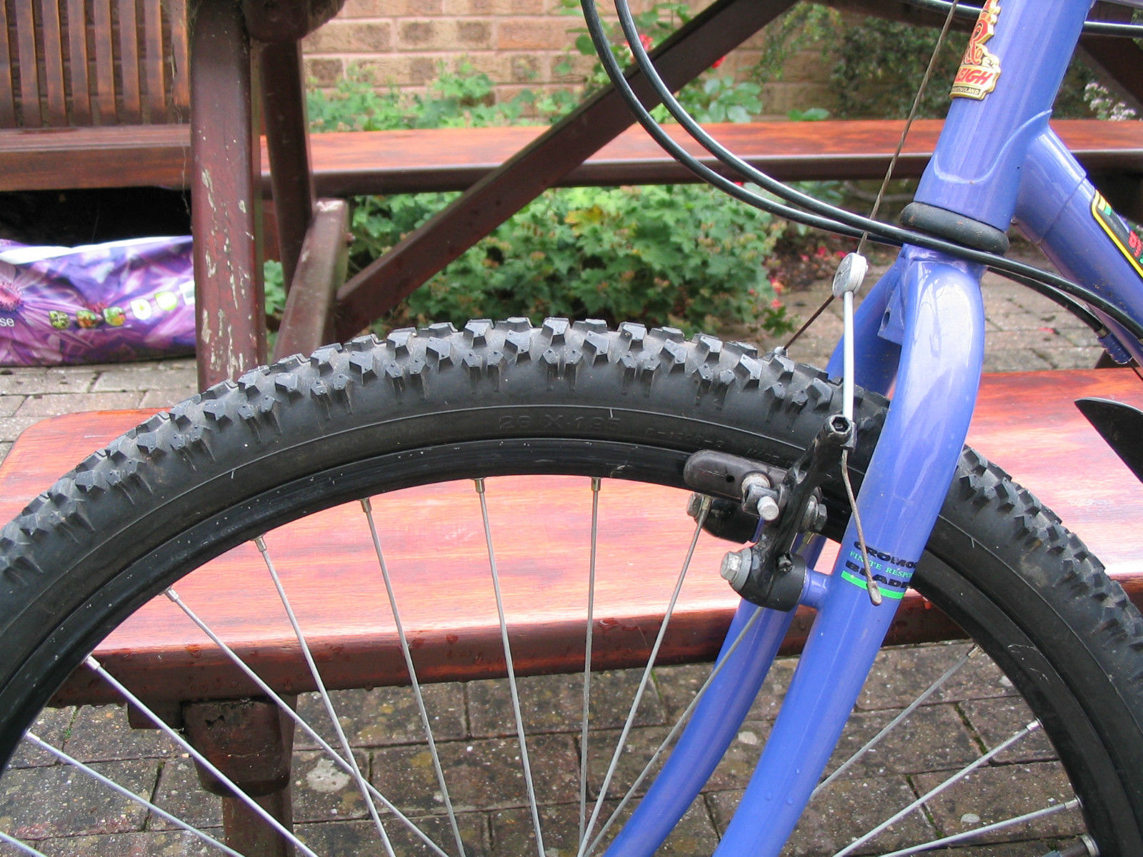 raleigh3.jpg