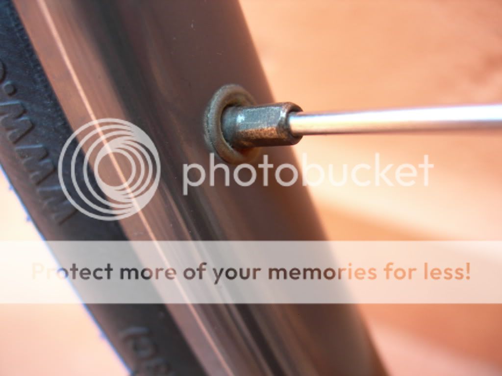 DSCN9891.jpg