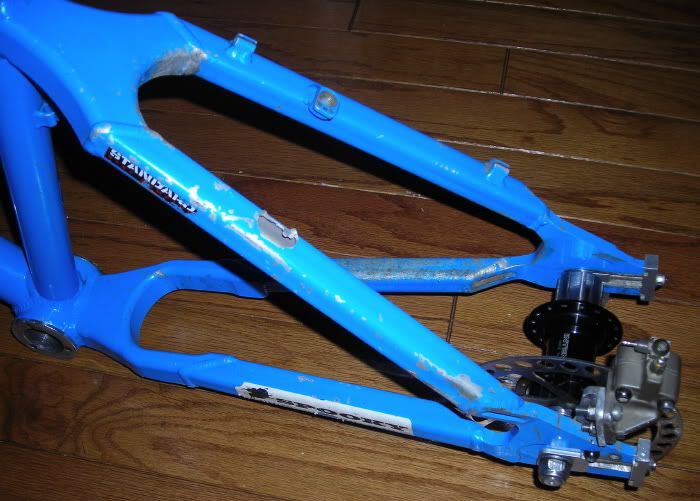 bluemh1.jpg