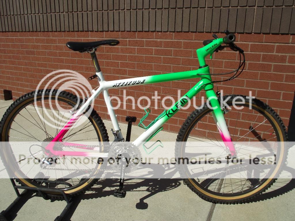 masi003.jpg