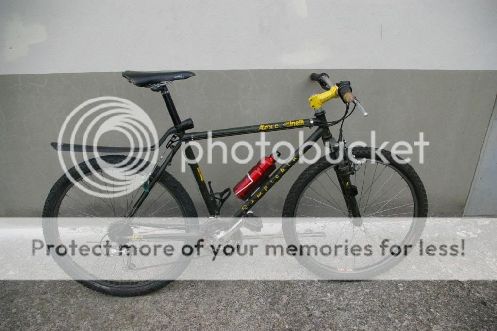 IMGP2582_zps73623931.jpg