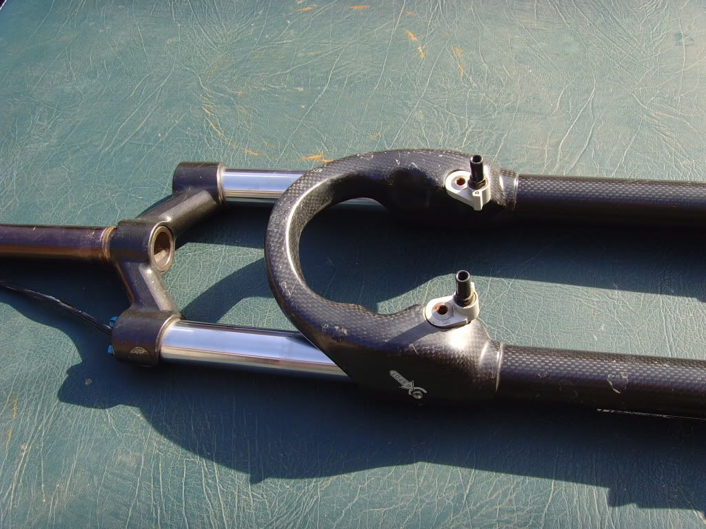 SNV35079.jpg