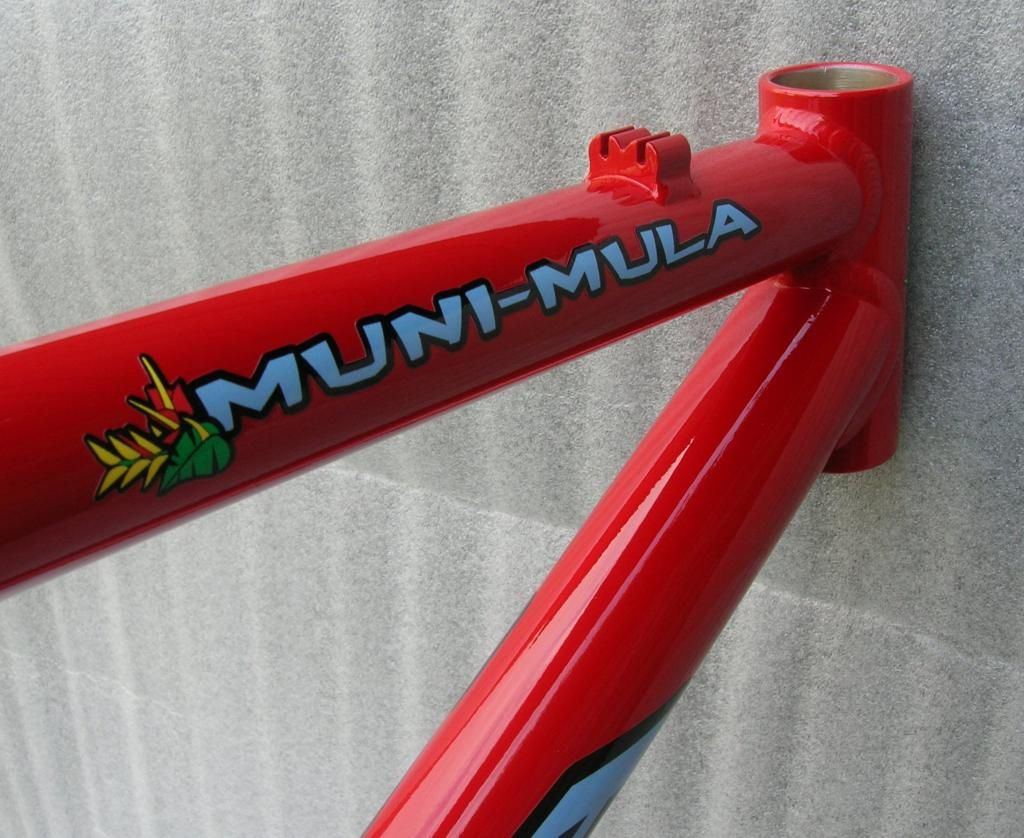 MuniMulaDecal_zpscg3aprwx.jpg