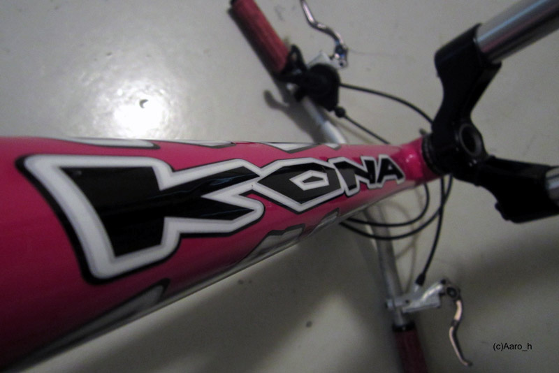 p4pb12022767.jpg