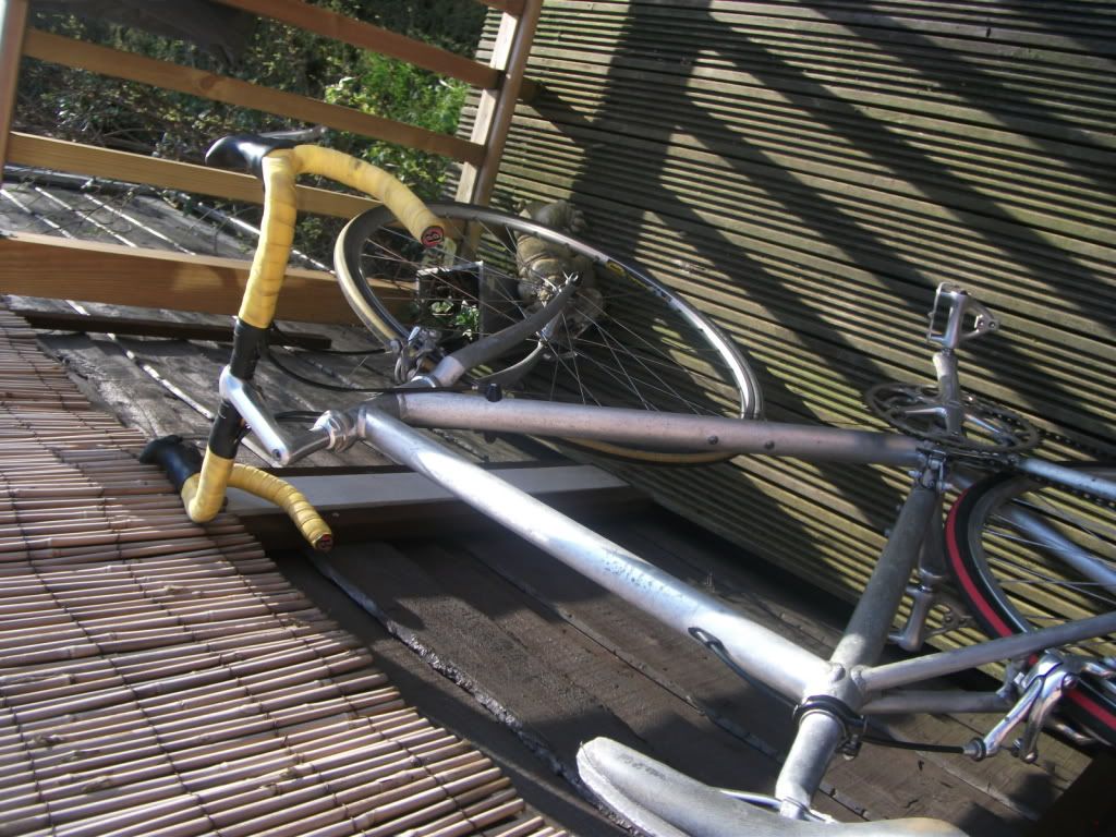 DSCF1179.jpg