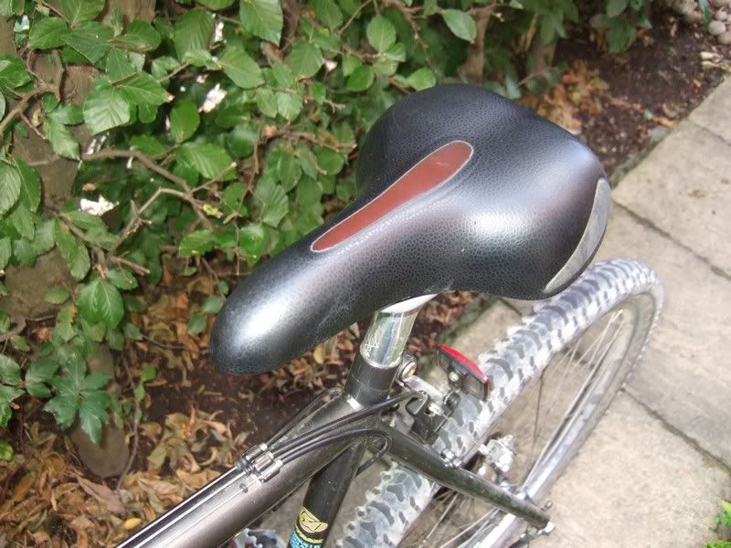 DSCF3754.jpg