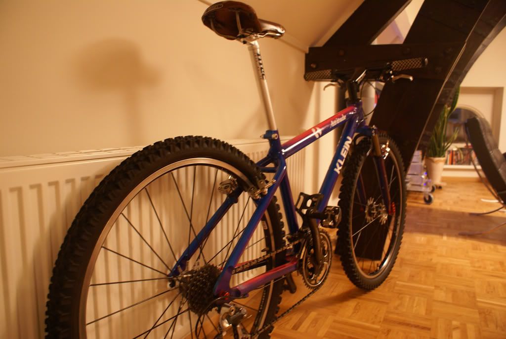 DSC03630-1.jpg