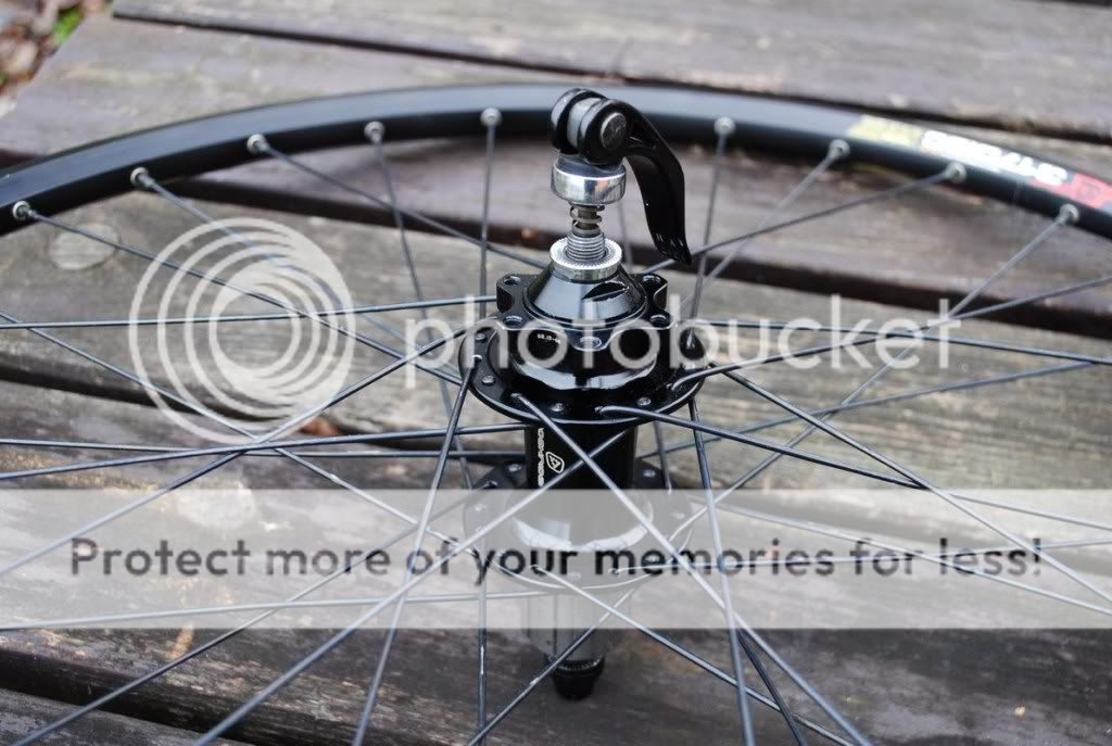 DSC_0181.jpg