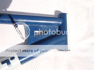DSC07463.jpg
