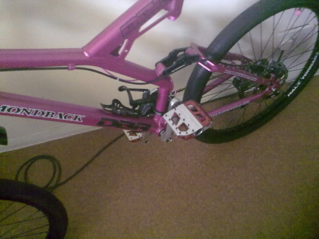 11082010009.jpg