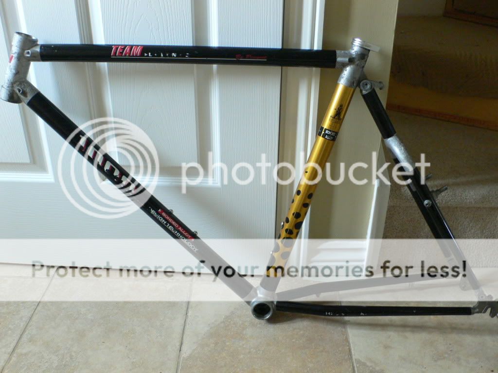 ebaymay038.jpg