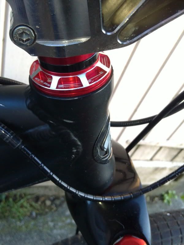 26022011046.jpg