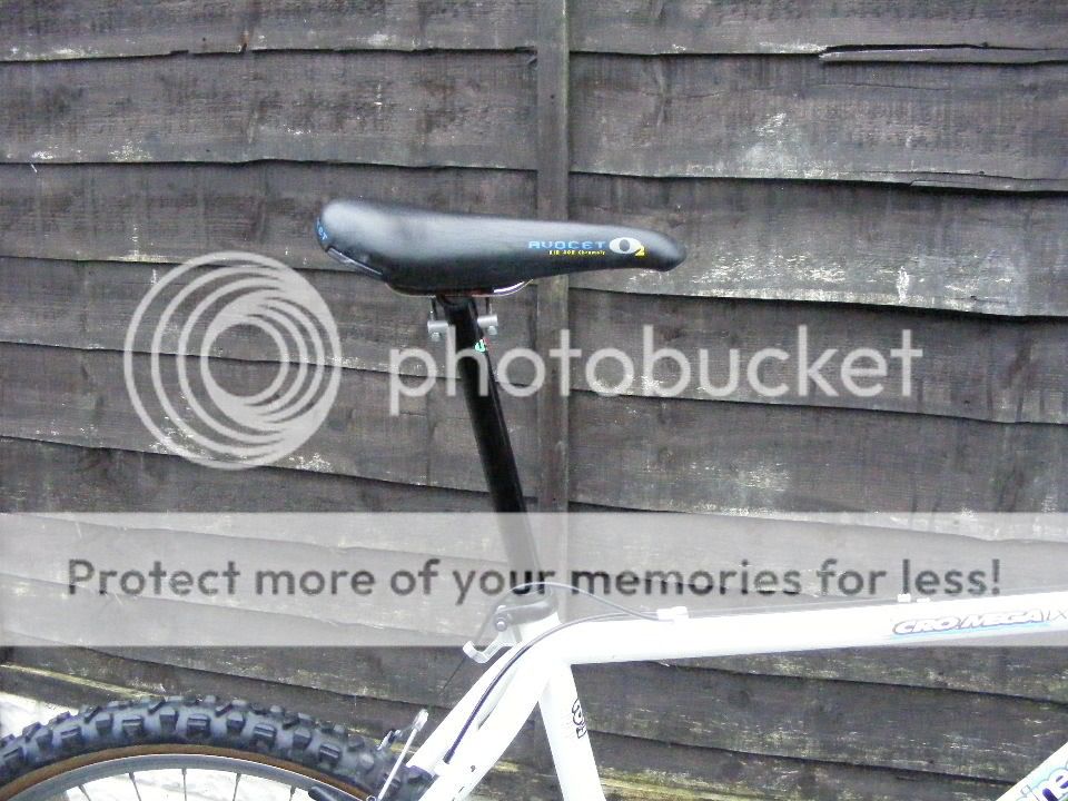 2010_1120lx0043-1.jpg