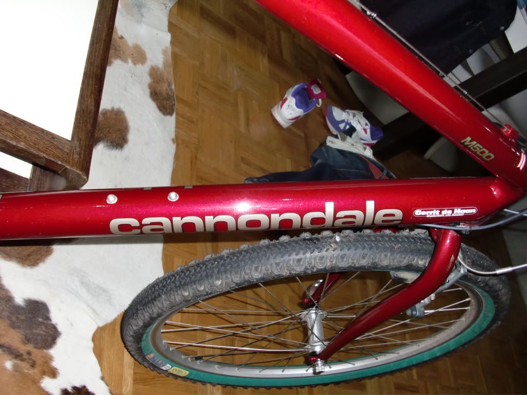 CIMG0390.jpg